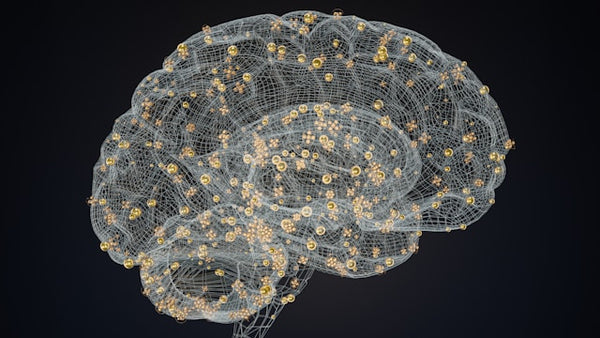 Can Electrolytes Help You Focus? The Science Behind Brain-Hydration
